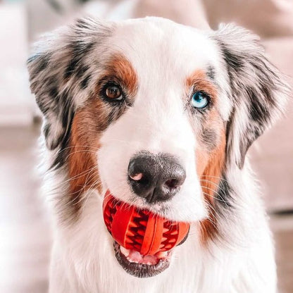 Doodles Licky Bundle Pack