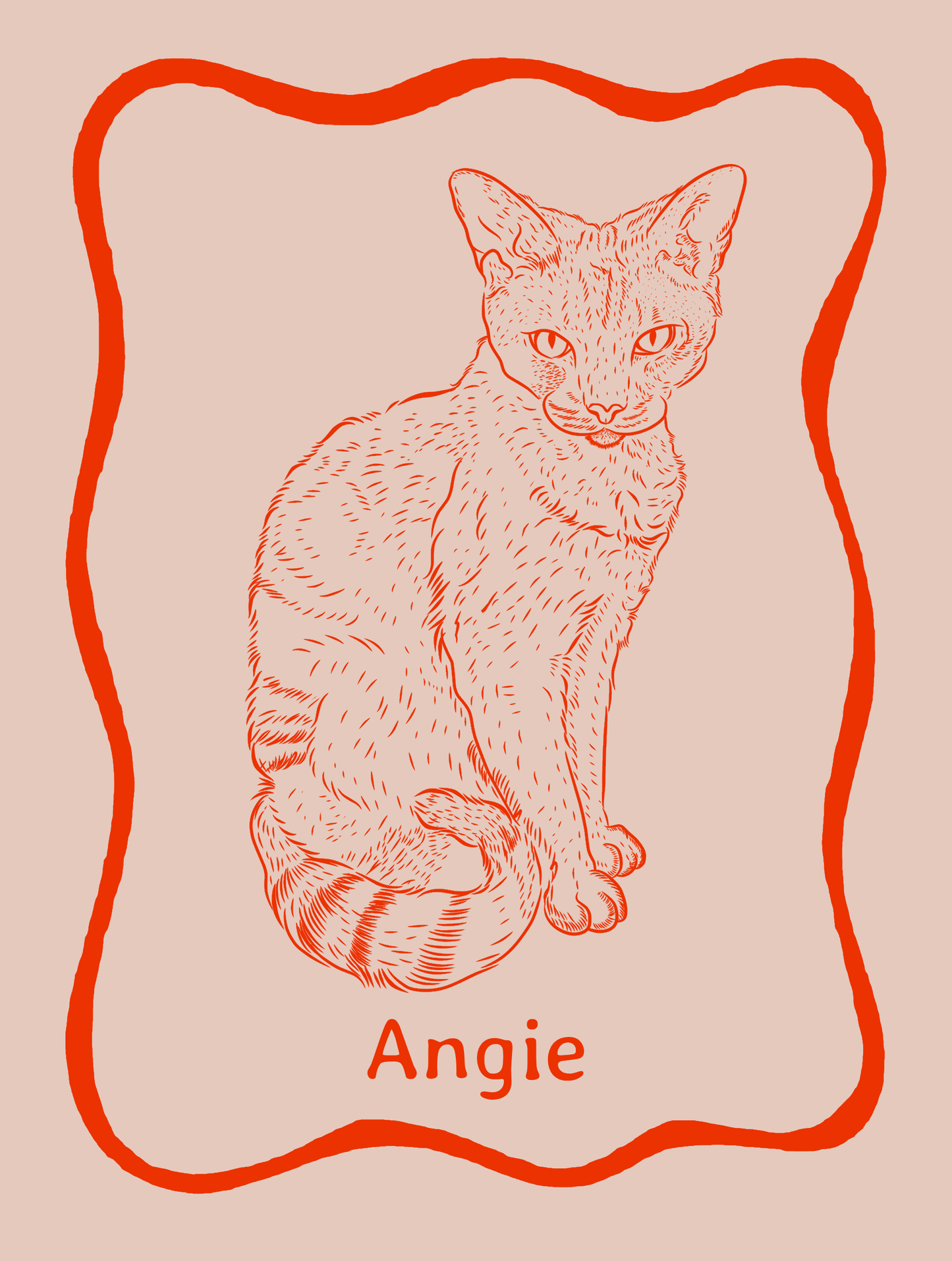 Funky Custom Illustrated Pet Portrait