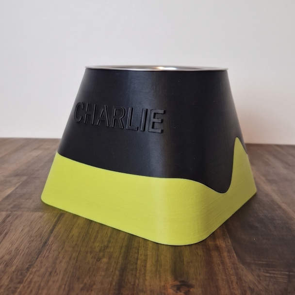 Custom Name Raised Pet Bowl - Square Round