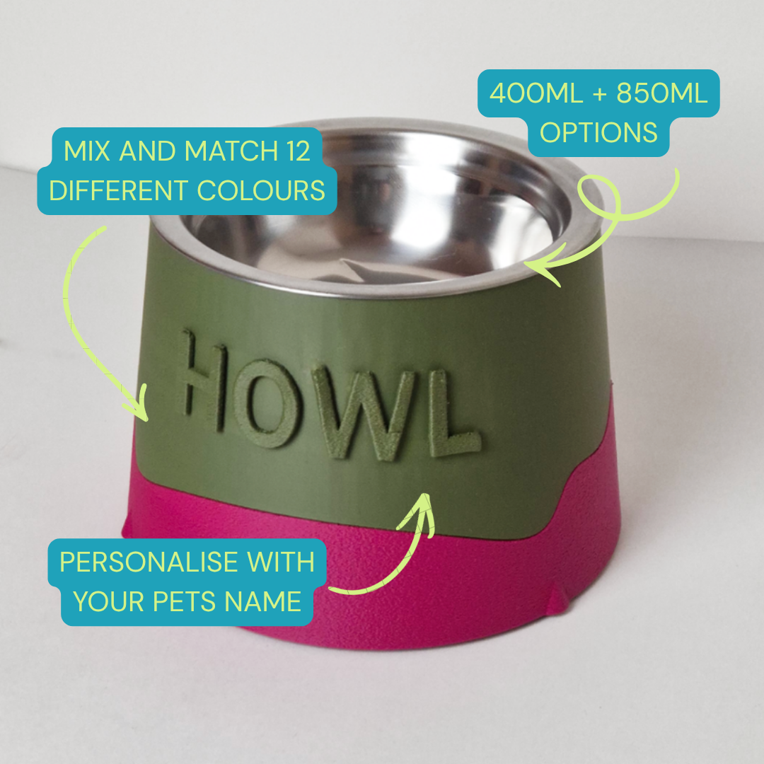 Custom Name Raised Round Pet Bowl