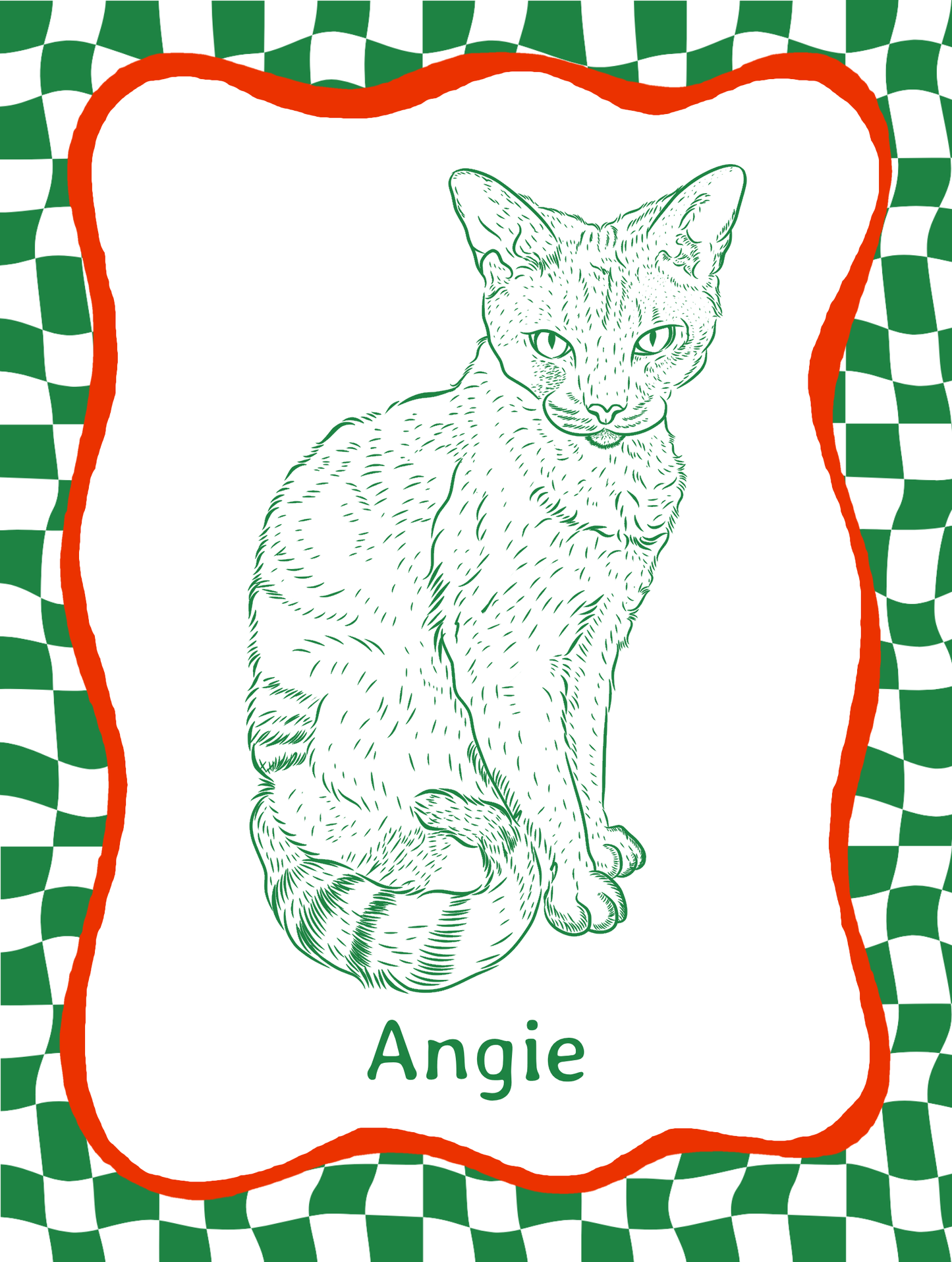 Funky Custom Illustrated Pet Portrait