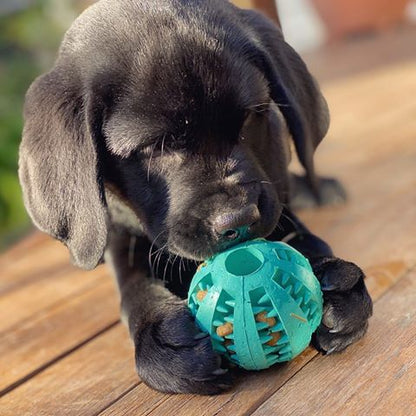 Toothy™ - Furry Mates Co