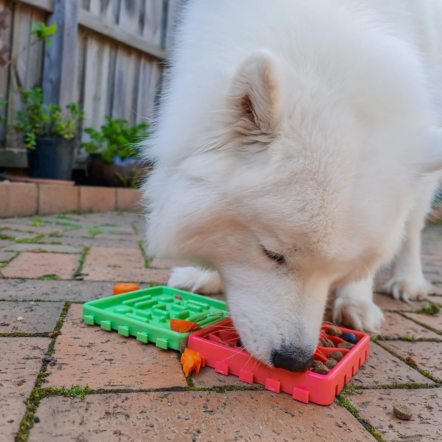 Slow Feedz™ - Furry Mates Co