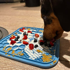 The Enrichment Kit - Furry Mates Co