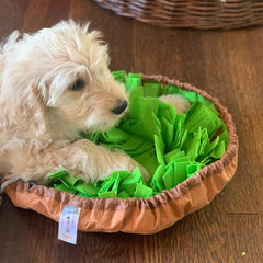 Sniffler Mat™ - Furry Mates Co