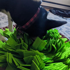 Sniffler Mat™ - Furry Mates Co